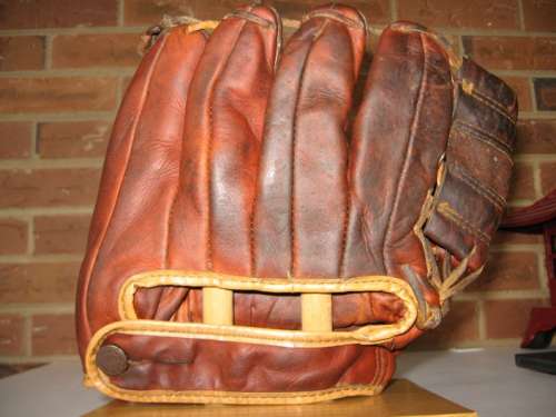 Alvin Dark Reach 5831 Back